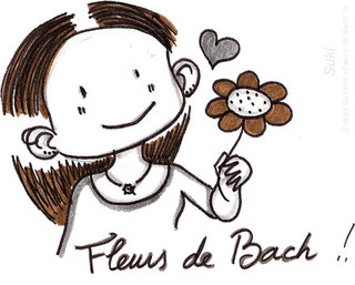 Fleur de bach Psychothérapeute Fleur de bach Psychothérapeute